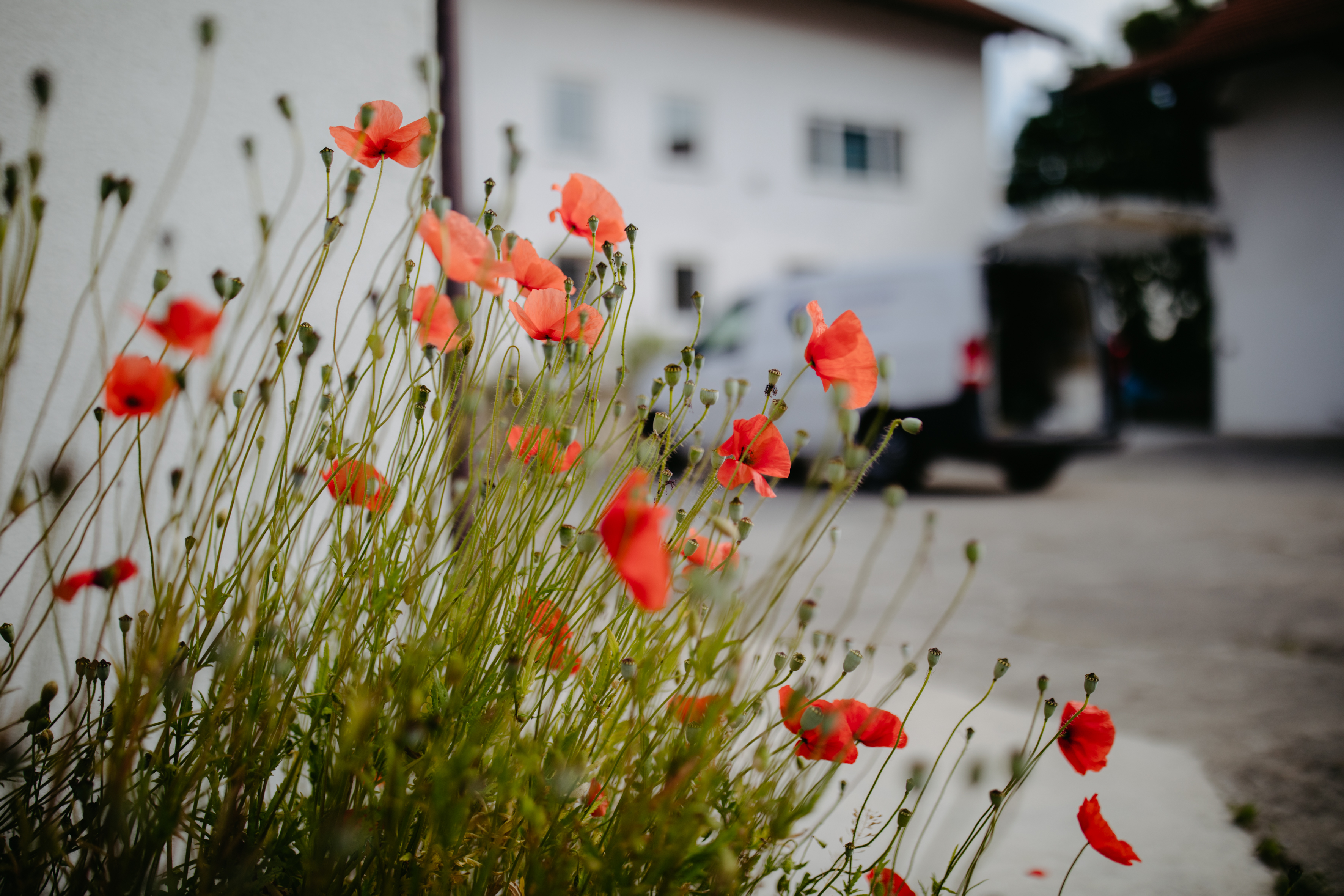 Qualität bei Fliesen Merx